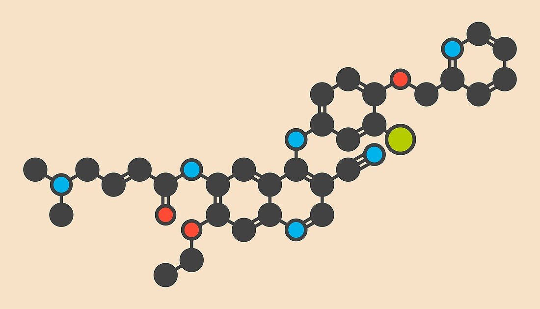 Neratinib cancer drug molecule, illustration