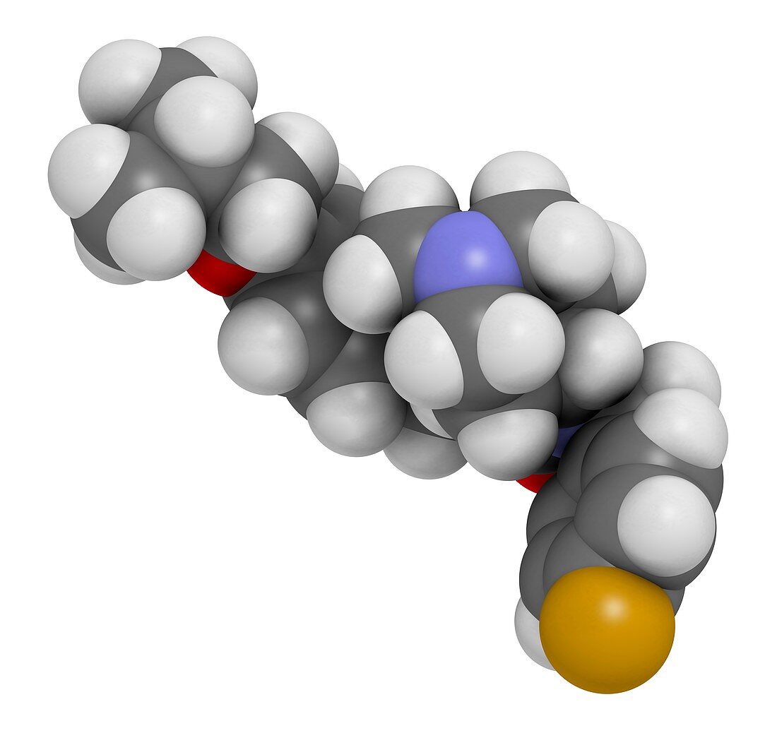 Pimavanserin molecule, illustration