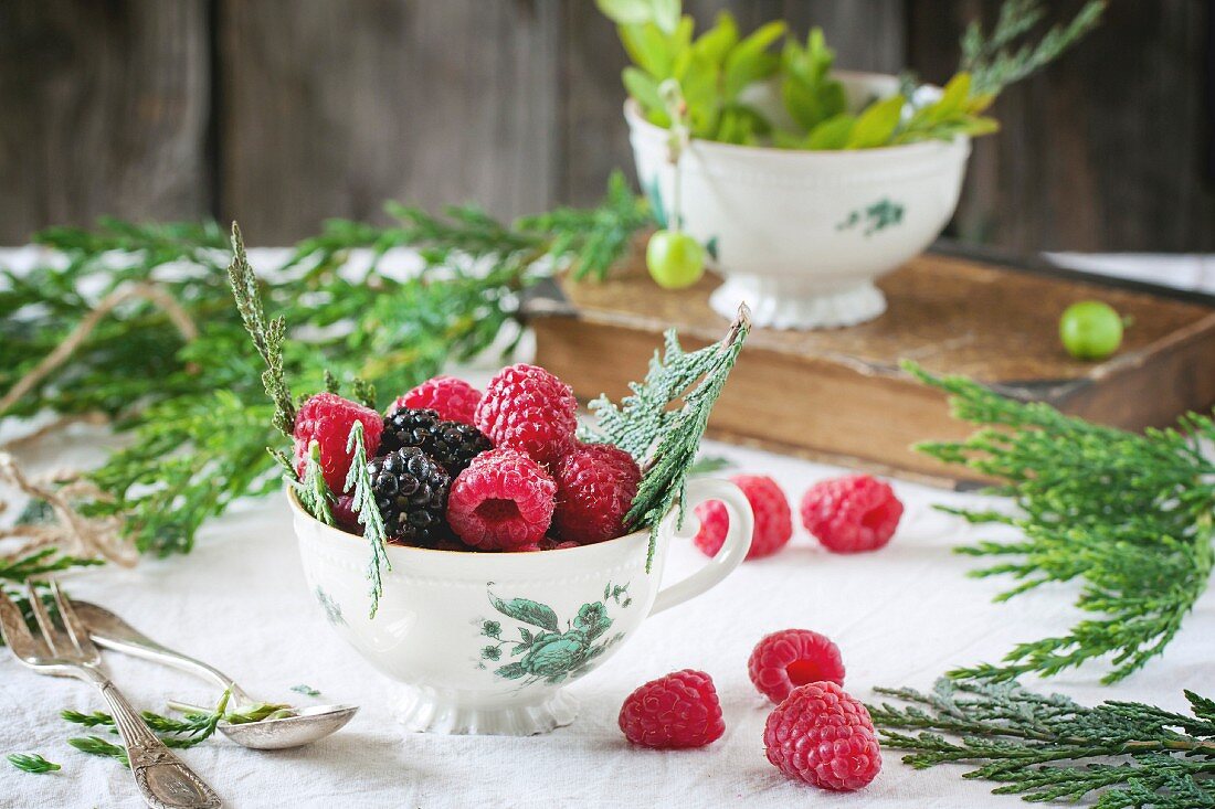 Vintage cup of raspberries and blackberries served with thuja branches