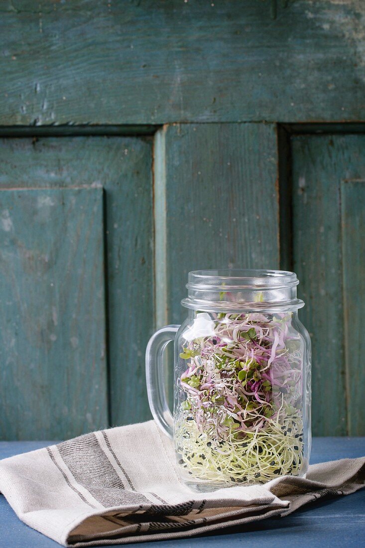 Healthy diet. Fresh Garlic and Radish Sprouts in glass mason jar, standing on kitchen towel over blue wooden table