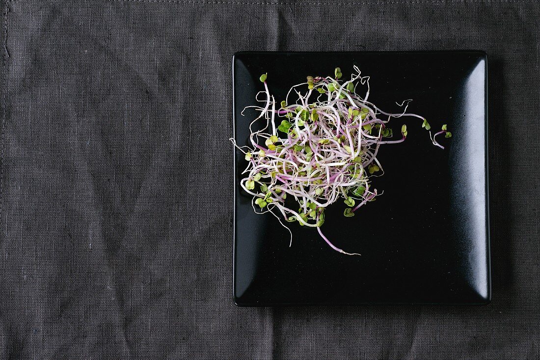 Fresh Radish Sprouts on black square plate over dark gray textile
