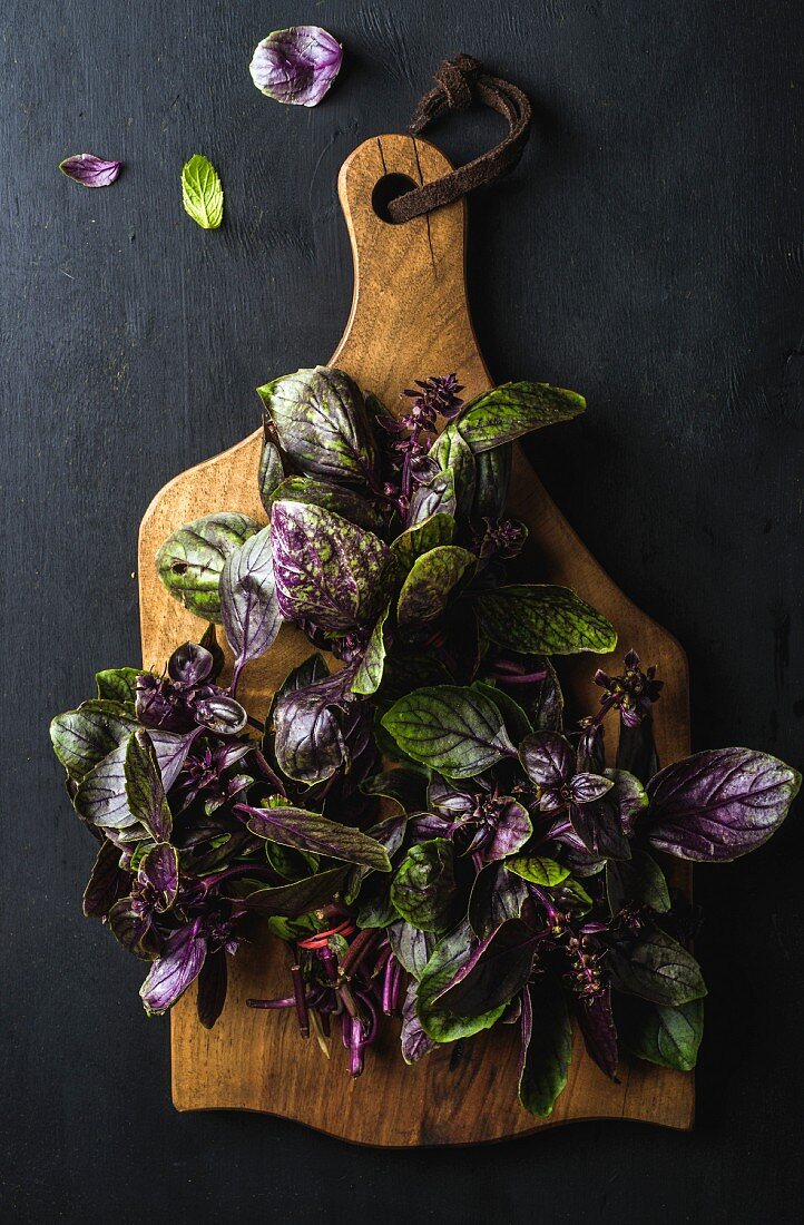 Fresh basil bunches on wooden serving board over dark background