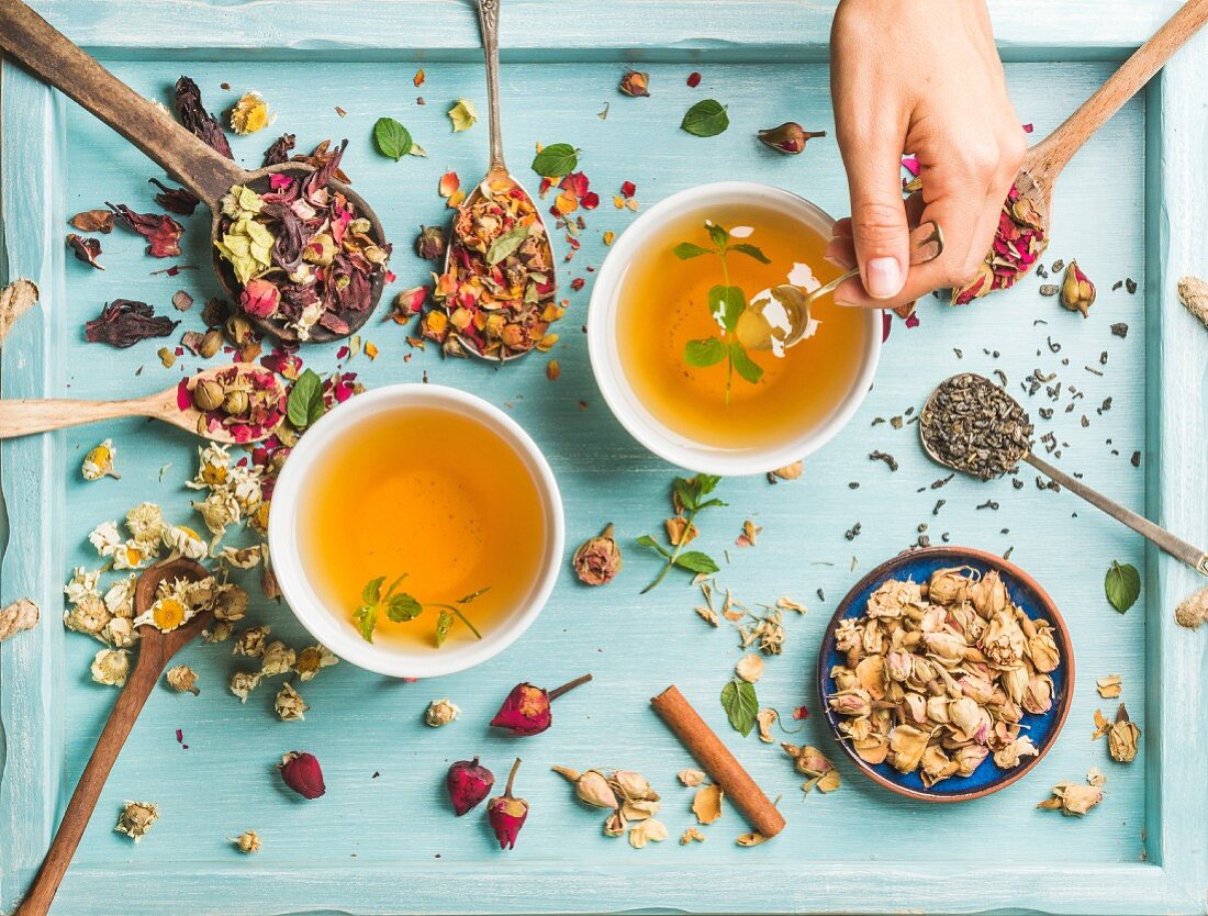 Two cups of healthy herbal tea with mint, cinnamon, dried rose and camomile flowers in spoons