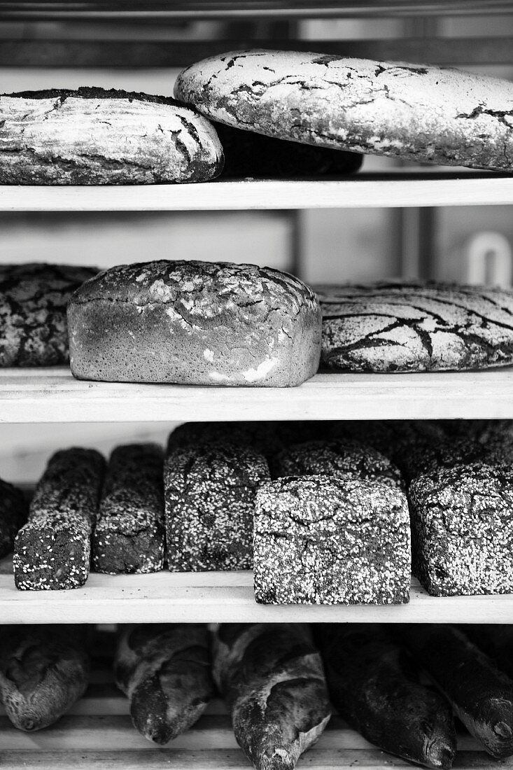 Verschiedene frisch gebackene Brote in Brotregal einer Bäckerei