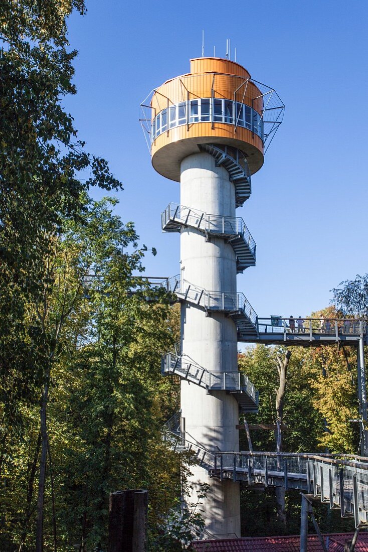 The viewing tower on the treetop trail in the Hainich National Park in the Thuringian Forest, Thuringia, Germany