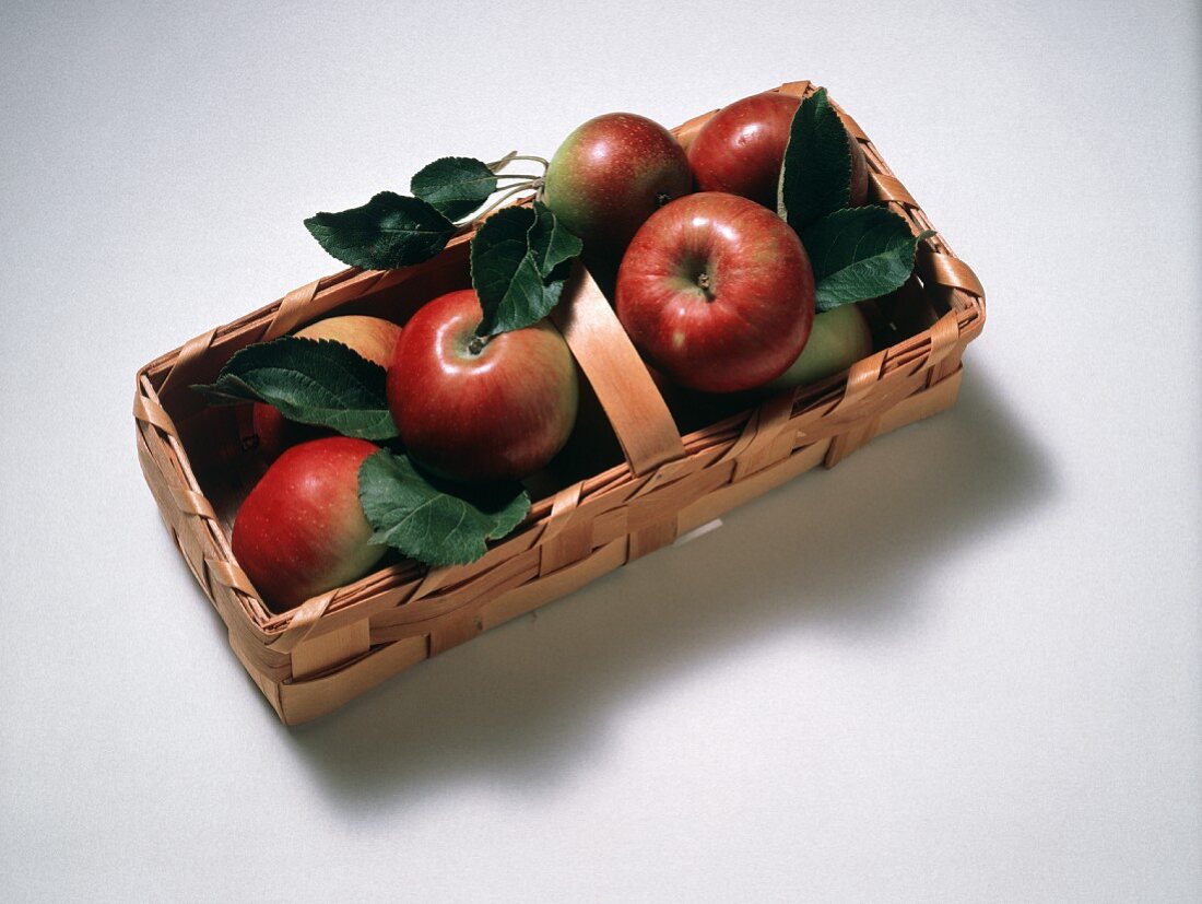 Fresh Red Apples in a Basket