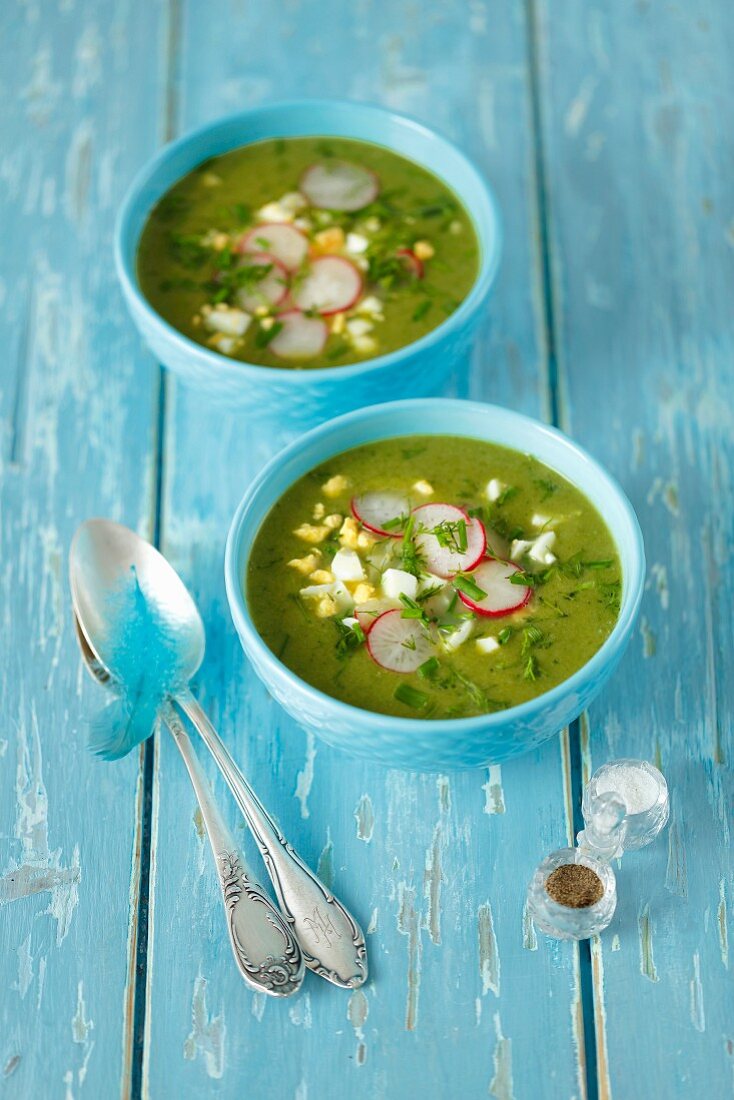 Spinach soup with egg and radishes