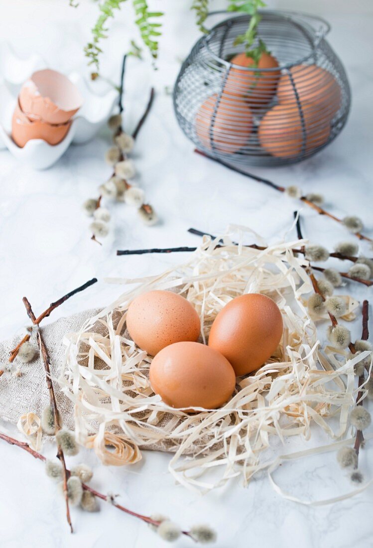 Eier auf Stroh mit Palmkätzchen und im Drahtkorb