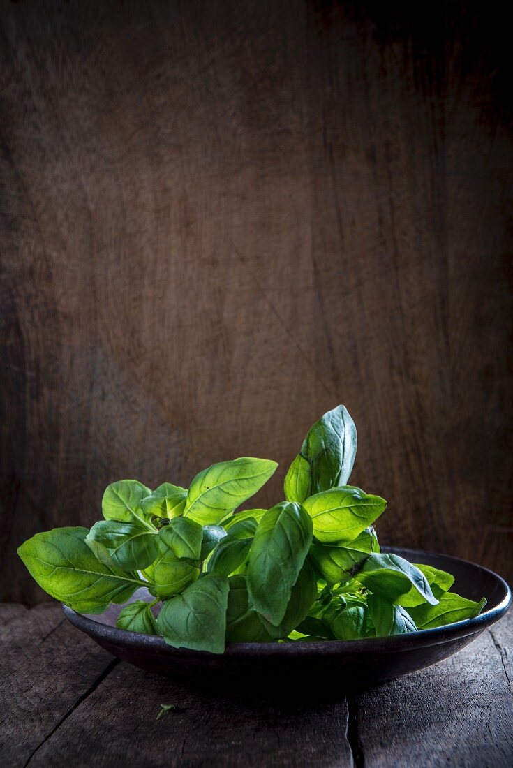 Basil in a bowl