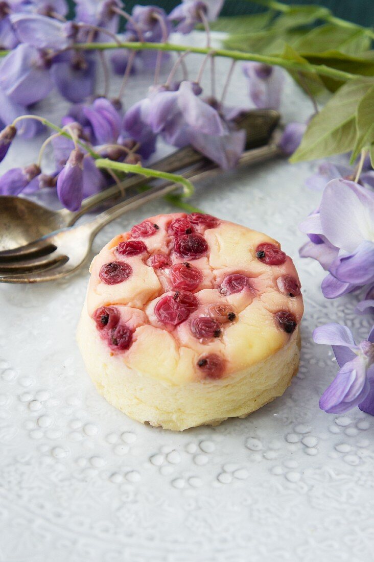 Fresh cheesecake with red currants