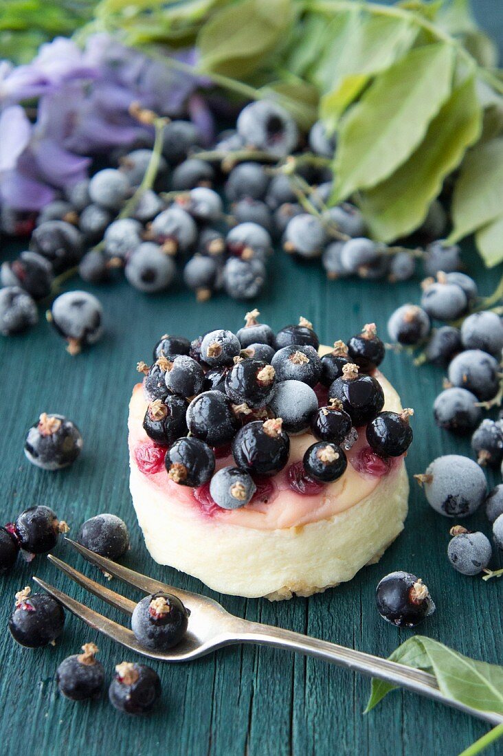 Fresh cheesecake with blackcurrants