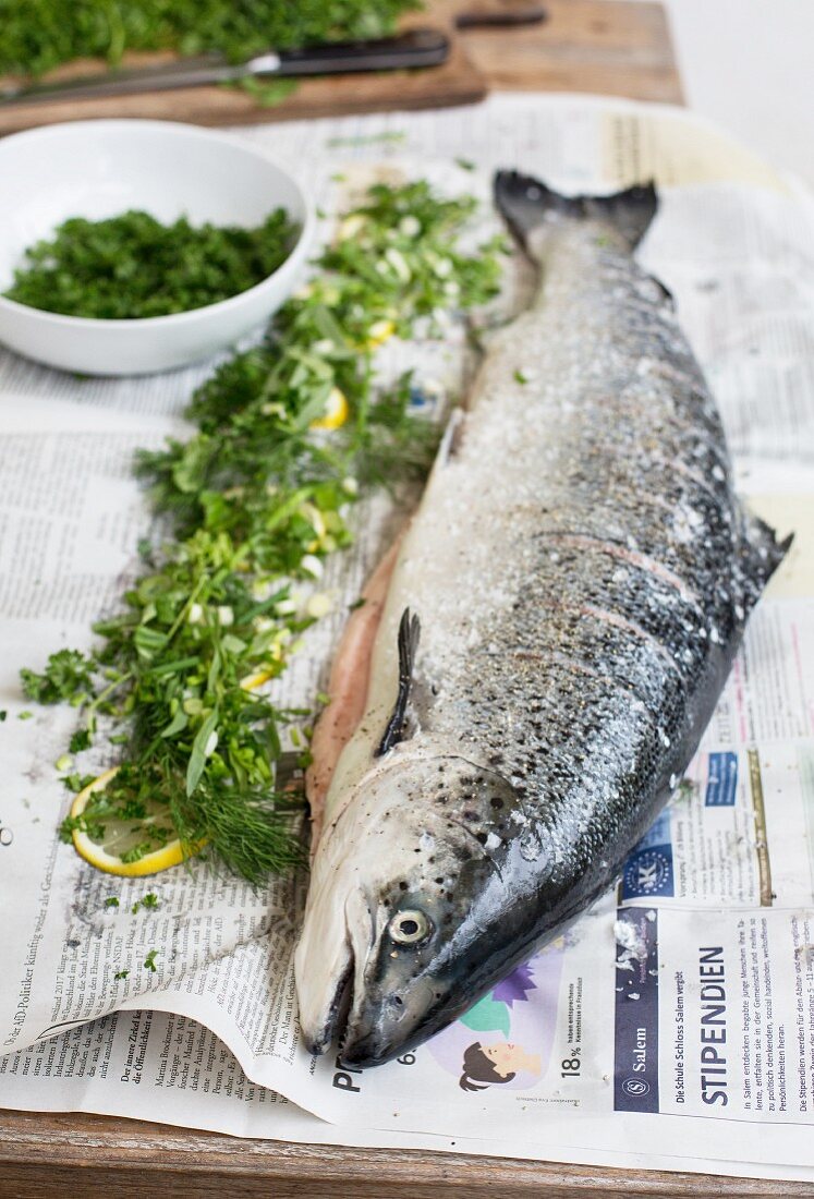 Fresh salmon with lemon and herbs on newspaper