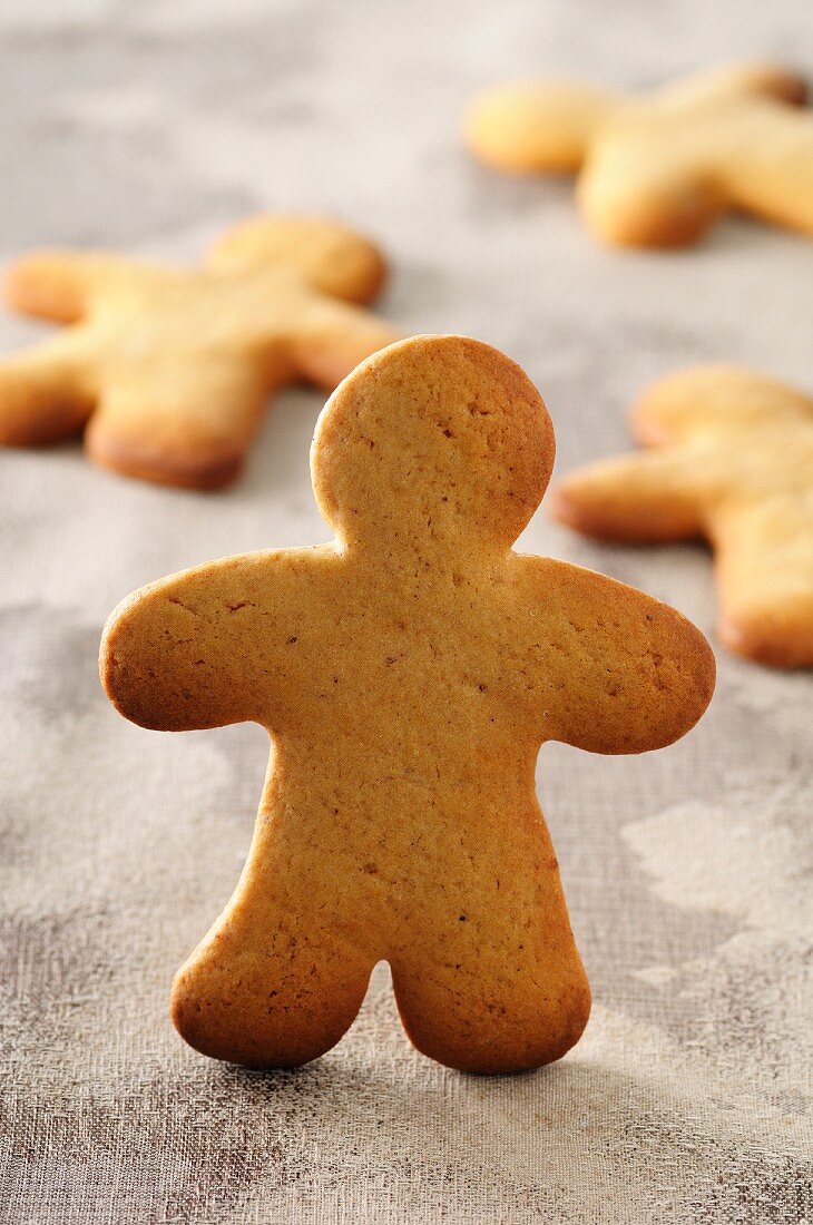 Gingerbread Man (close up)