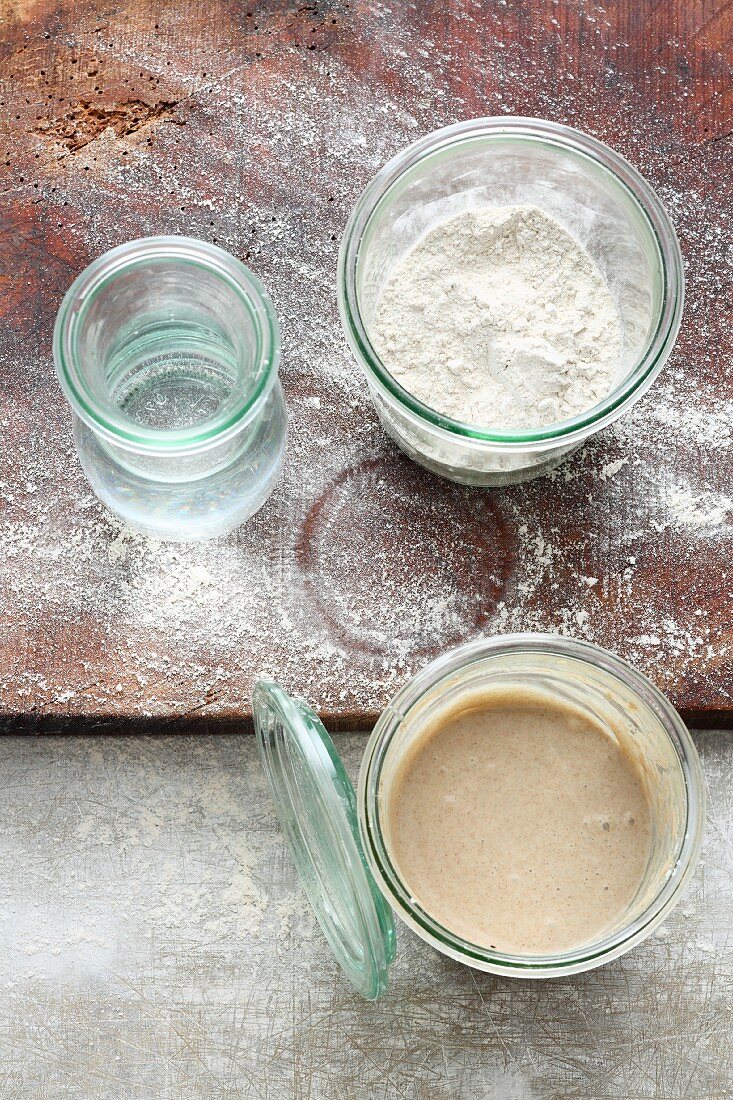 Sourdough starter