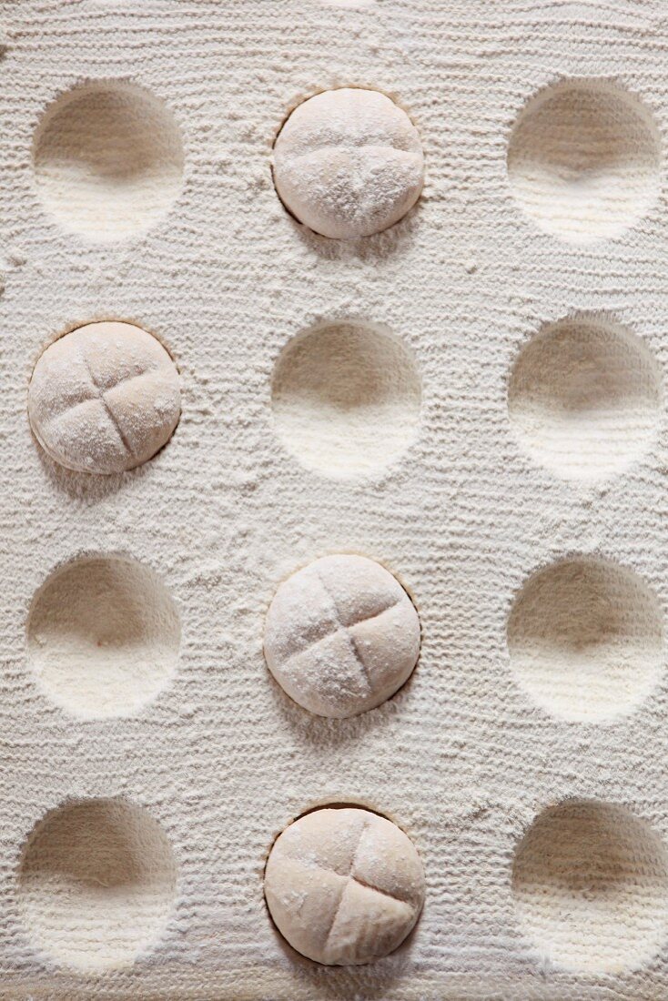 Pieces of dough for bread rolls (seen from above)