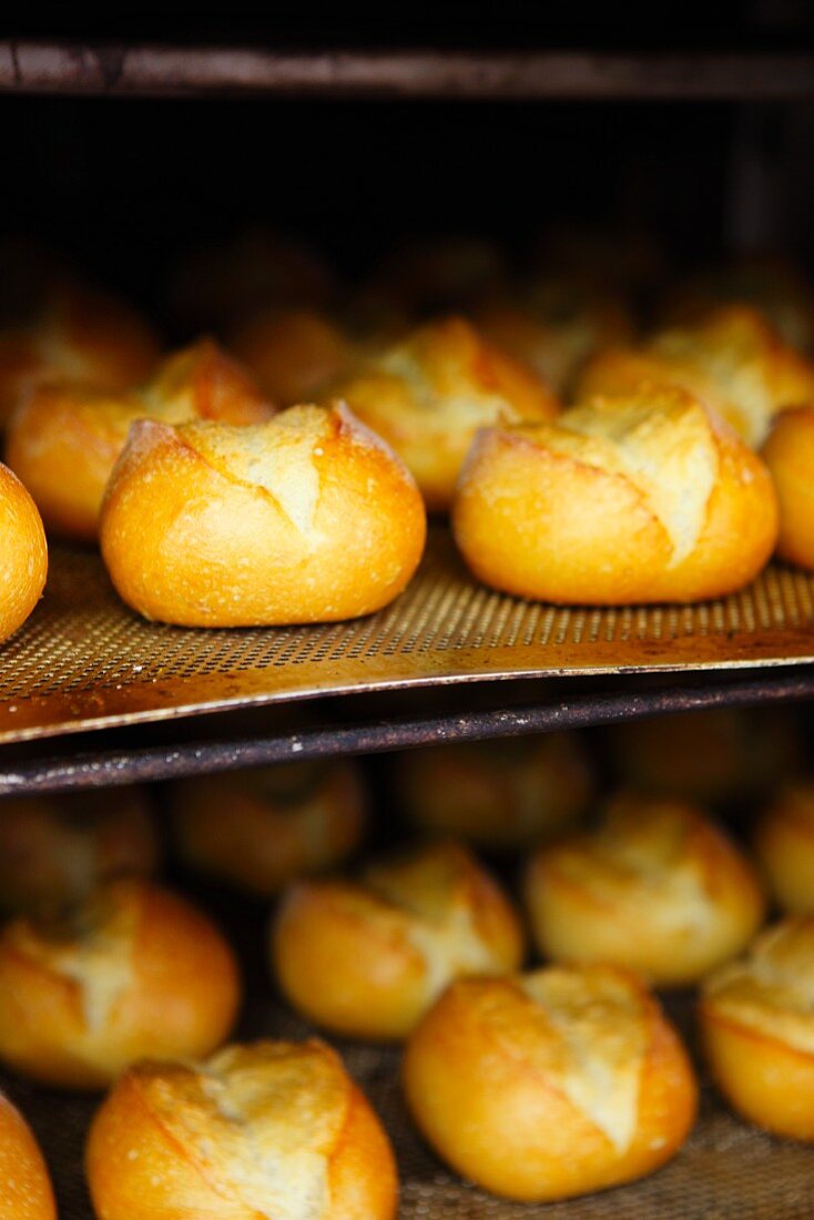 Ready-baked crusty bread rolls in the oven at a bakery