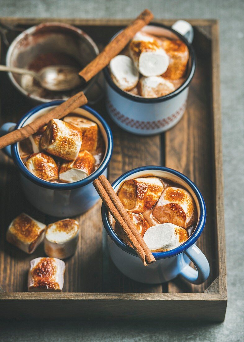 Hot chocolate in enamel mugs with cinnamon and roasted marshmallows in wooden tray