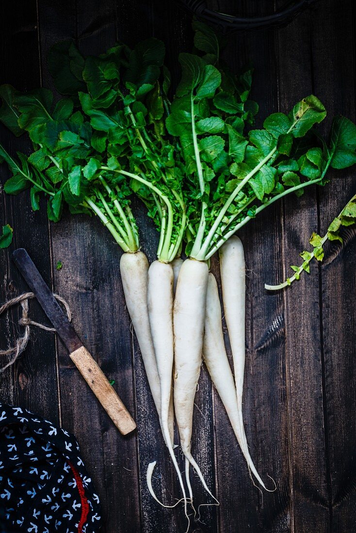 Still life of Radishes