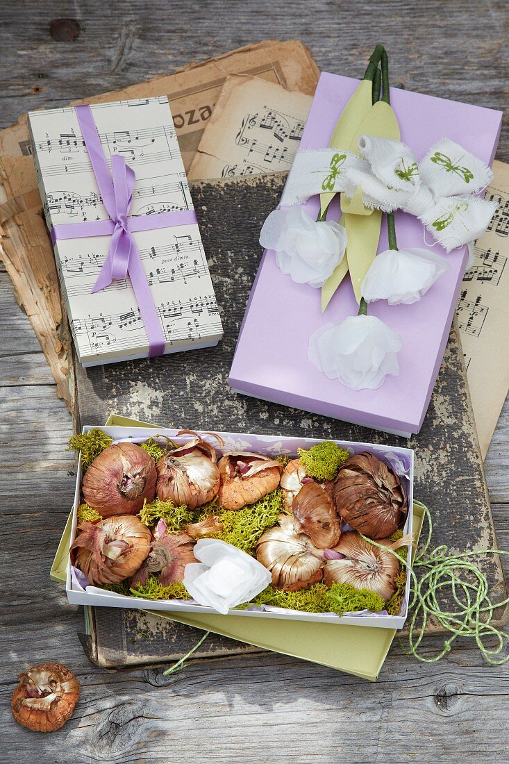 Card gift boxes, flower bulbs and paper flowers