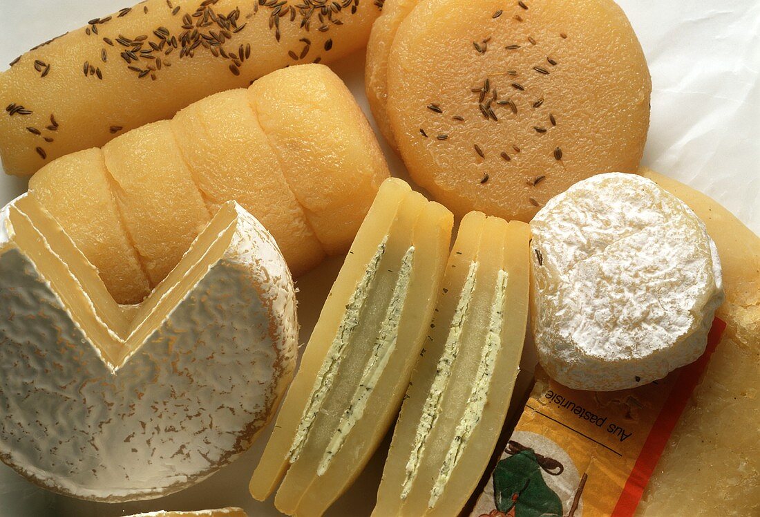 Still Life of Assorted Types of Harzer Cheese