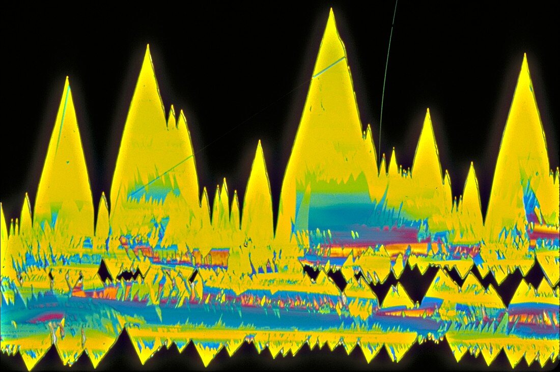 Epinephrine crystals, LM