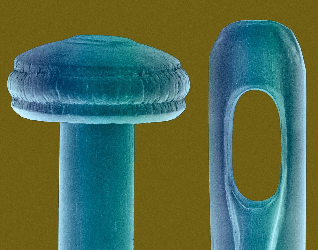 Pin and needle, SEM