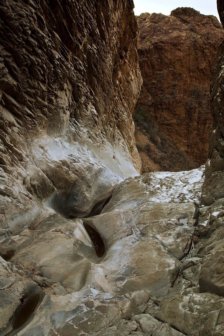 Eroded canyon, Chisos Basin, USA