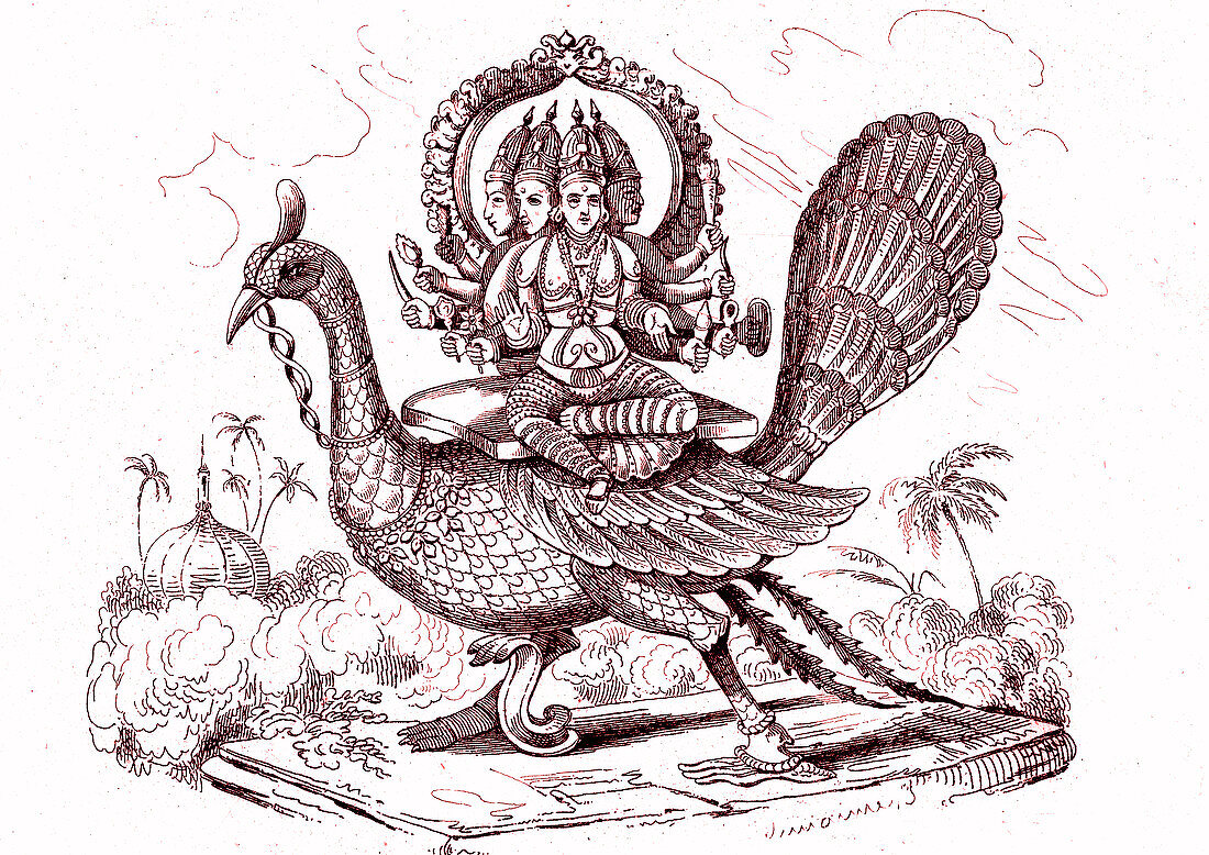 Kartikeya, Hindu deity, 19th C illustration