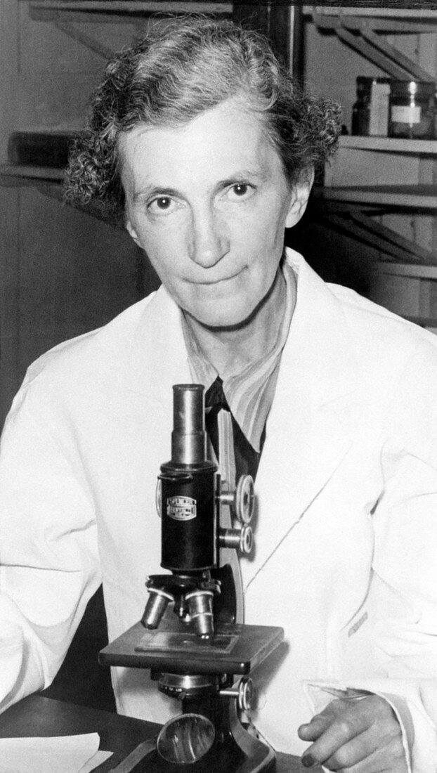 Elizabeth C. Crosby, American neuroanatomist