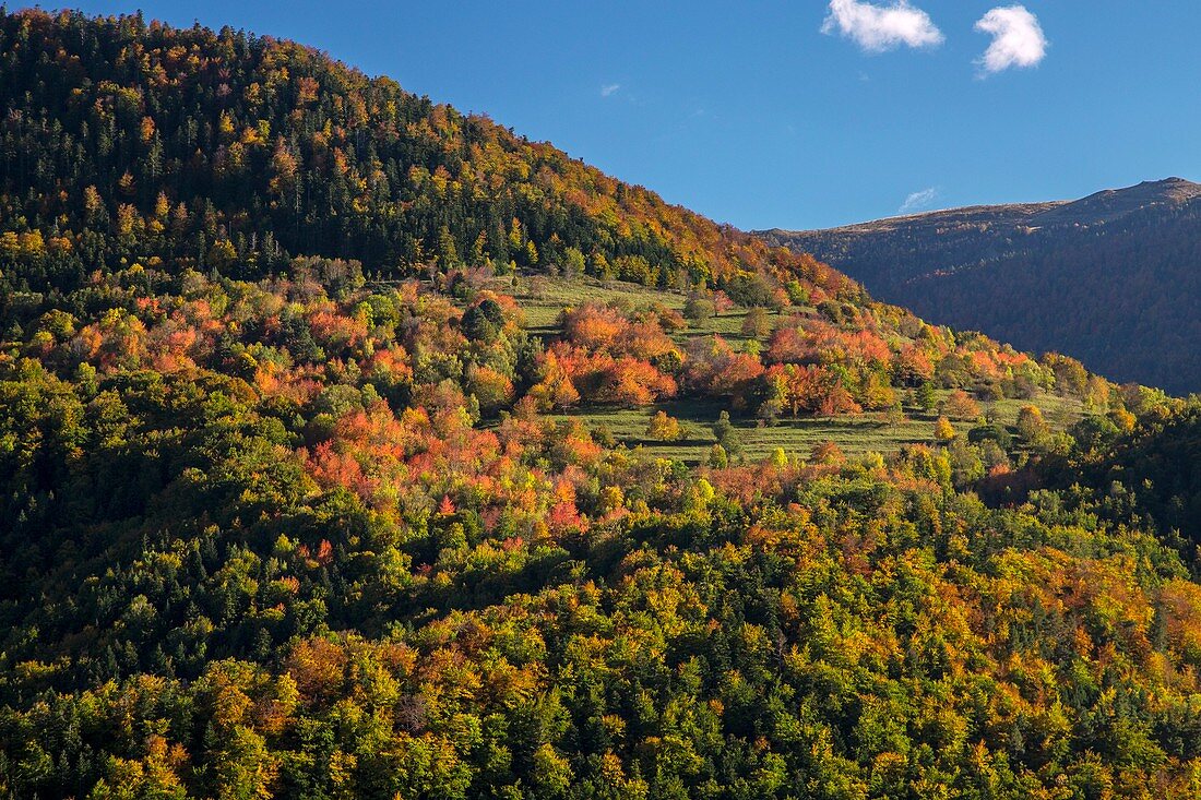 Pyrenees in autumn, France