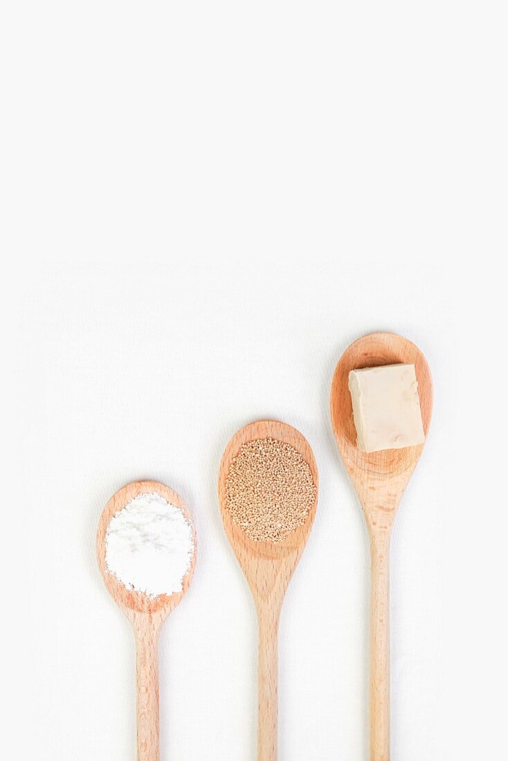 Yeast, fresh and dried, on cooking spoons