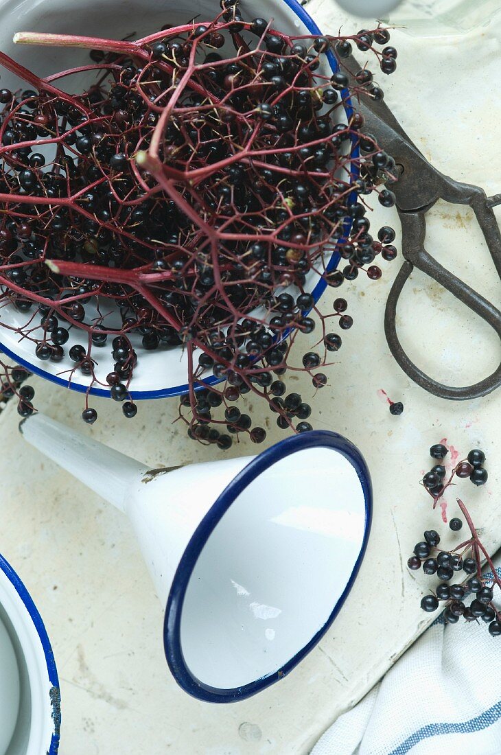 Ingredients and kitchen utensils for making homemade elderberry juice