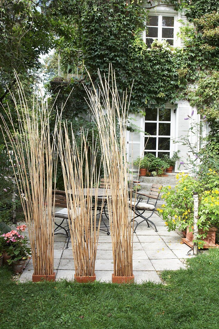 Garden screens made from canes in bricks