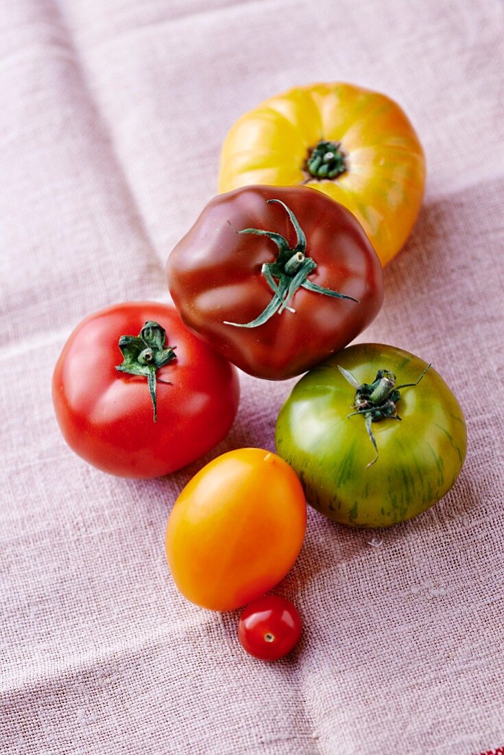 Verschiedenfarbige Tomaten auf Leinentuch