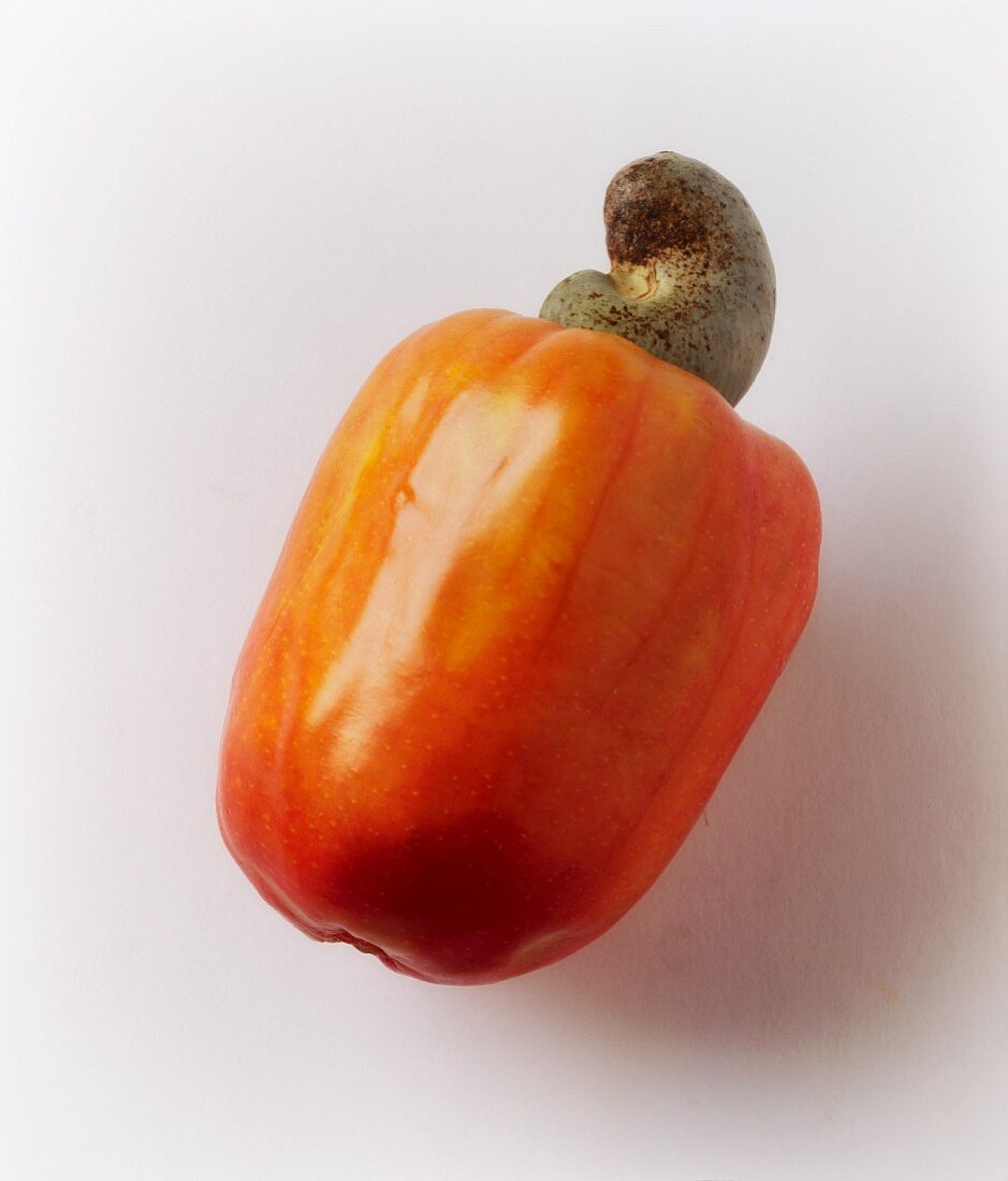 A cashew fruit with a nut
