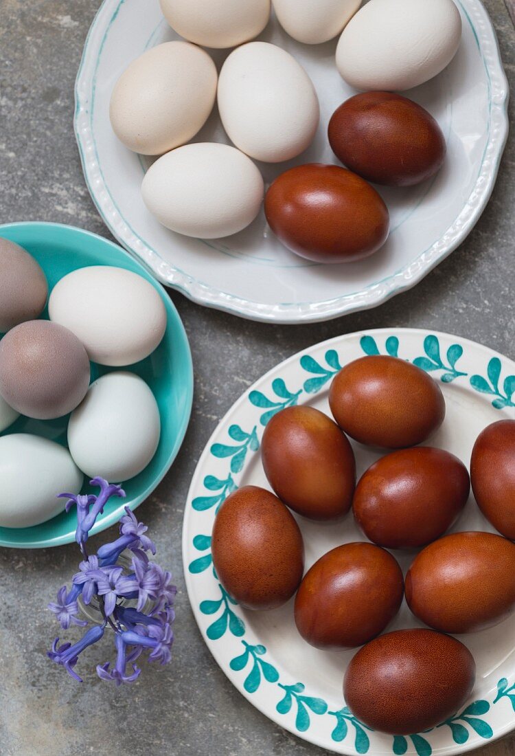 Various coloured eggs on plates