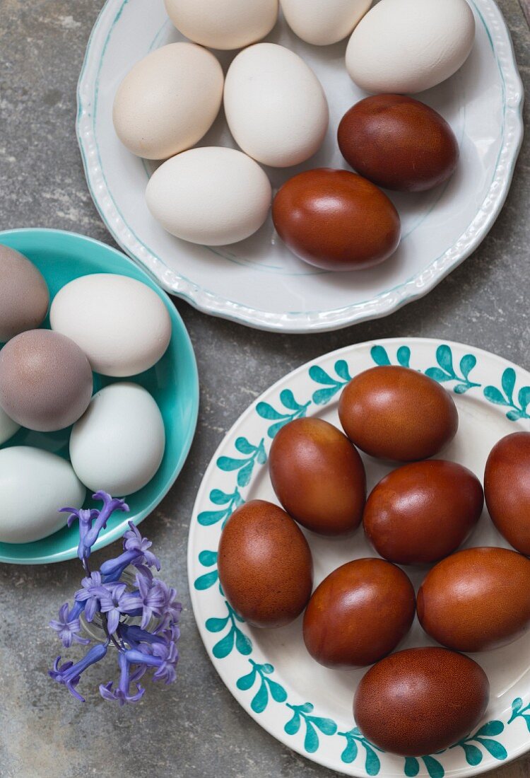 Verschiedenfarbige Eier auf Tellern
