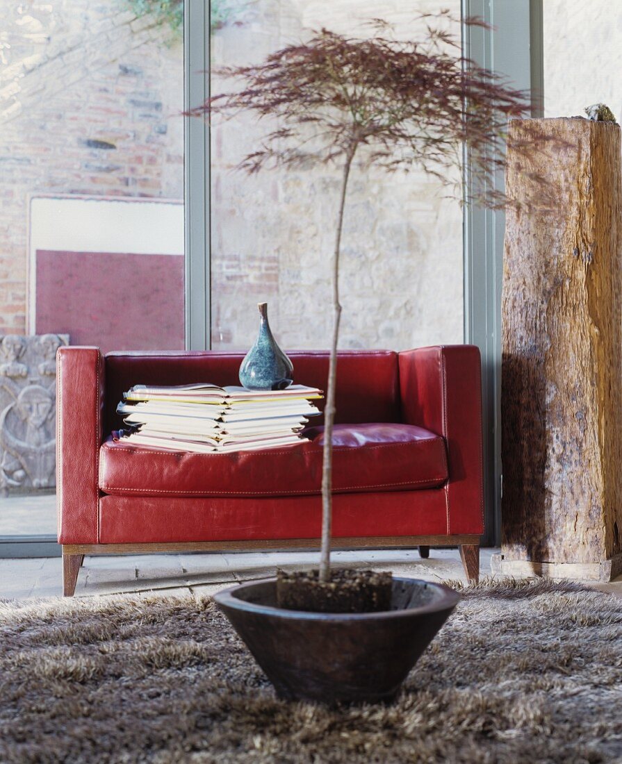 Books and vase stacked on red leather sofa in front of glass wall with small, potted tree in foreground
