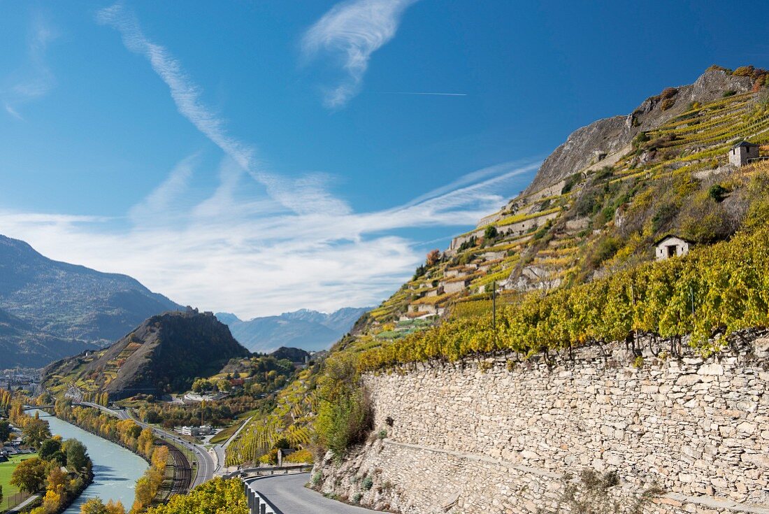 A steep vineyard on the Rhone and the hills of Sion between Valere and Tourbillon