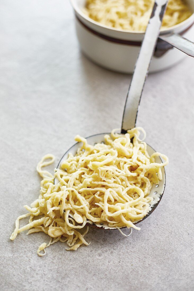 Hand-scraped spaetzle on a ladle