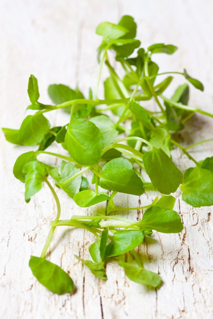 Fresh organic watercress