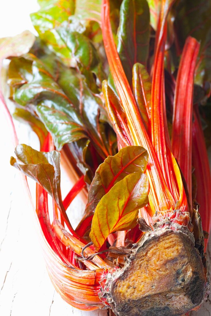 Organic red stalk chard