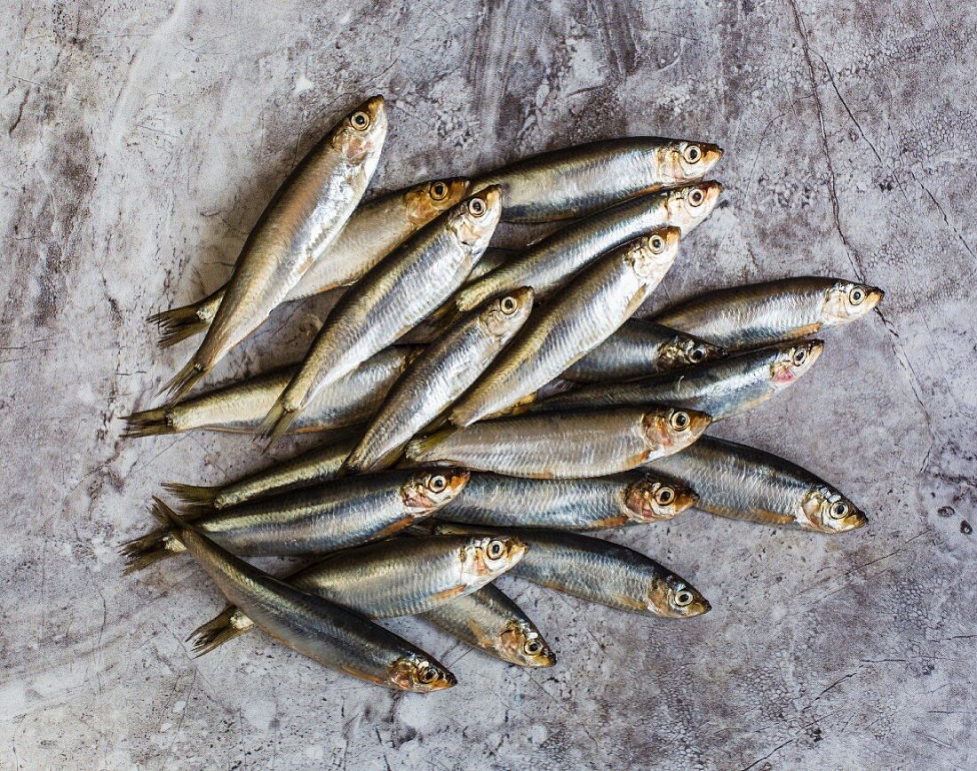 Pile of Sprats on a tile