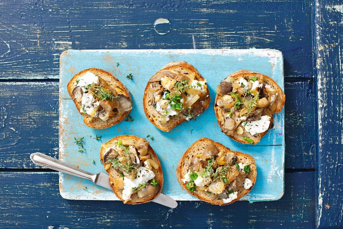 Crostini mit Austernpilzen und Ziegenkäse