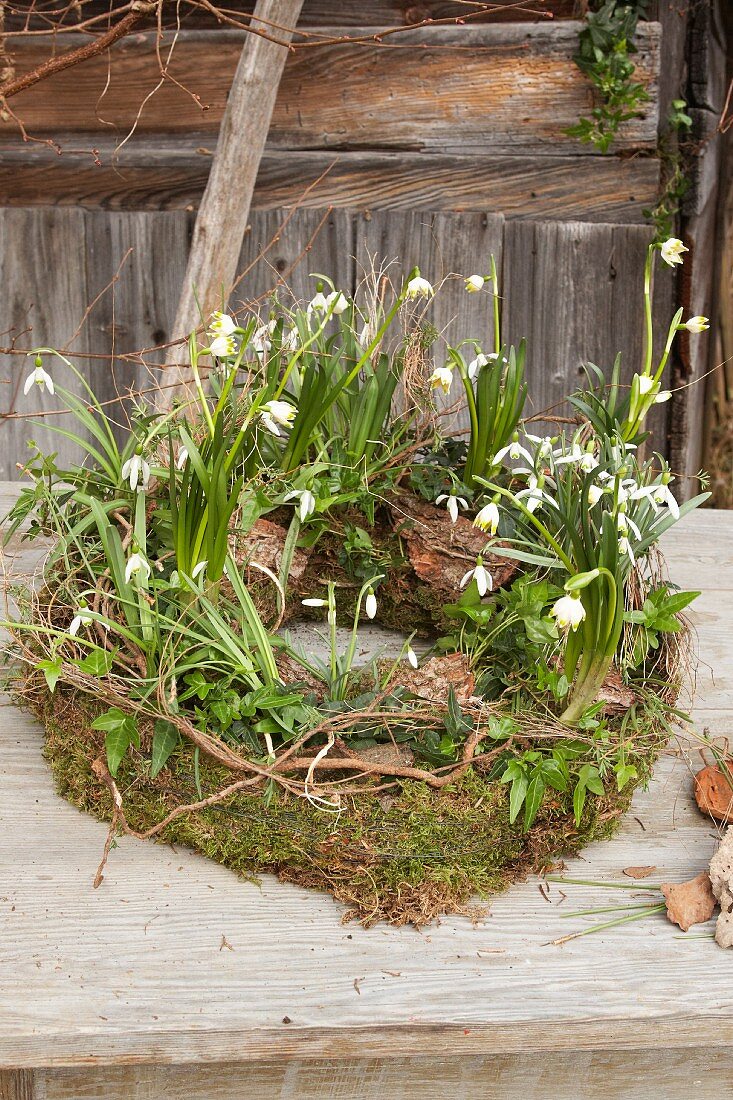 Wreath of snowdrops, spring snowflake, moss and ivy