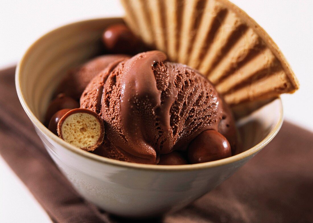 A bowl of double chocolate ice cream with wafer