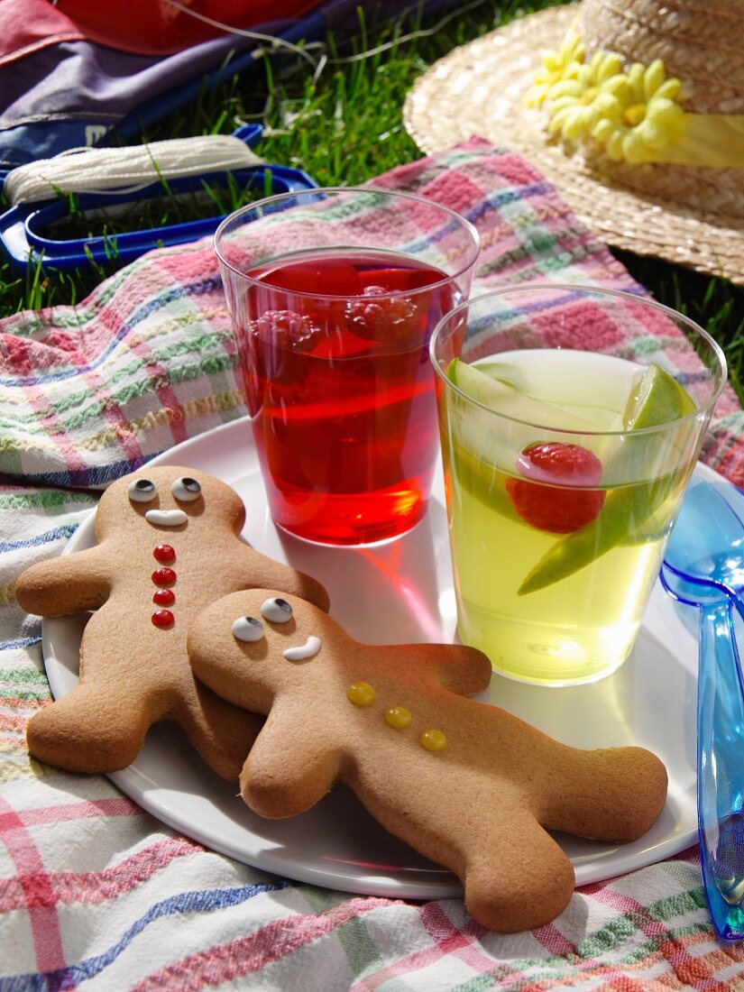 Fruchtgelees und Lebkuchenmänner auf Picknickdecke im Gras