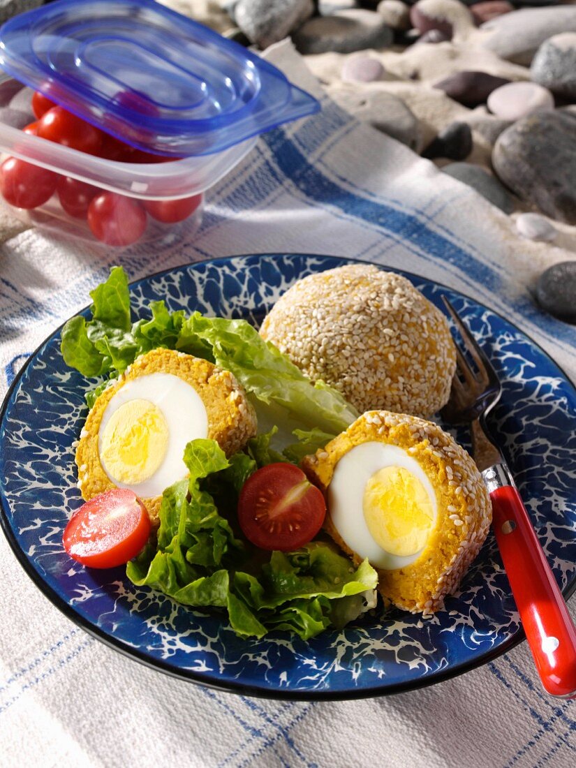 Falafel eggs at a beach picnic