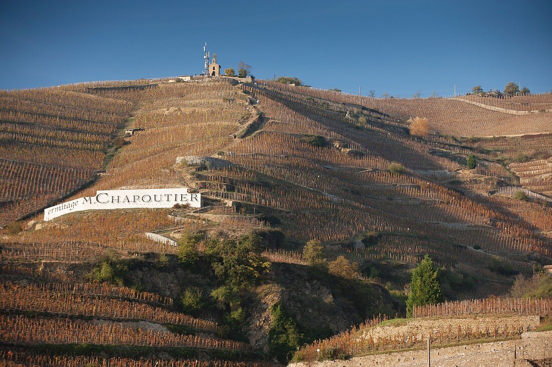 Produzenten werben für ihre Weine (Rhone-Tal, Frankreich)