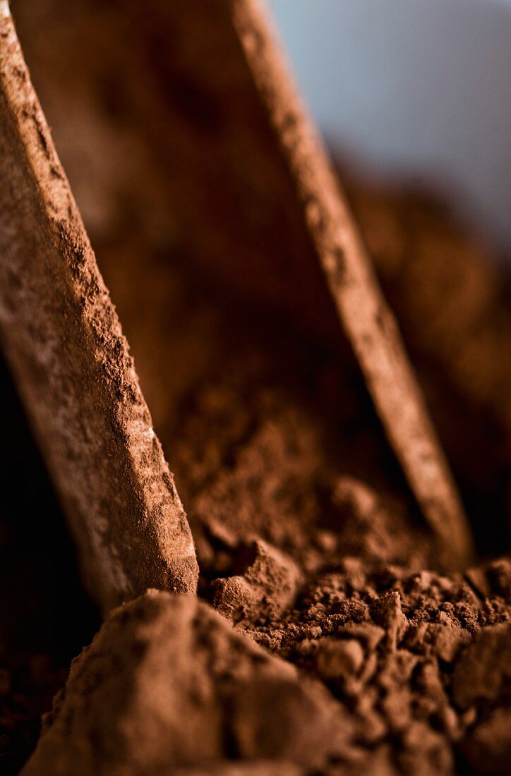 Cocoa powder (close up)